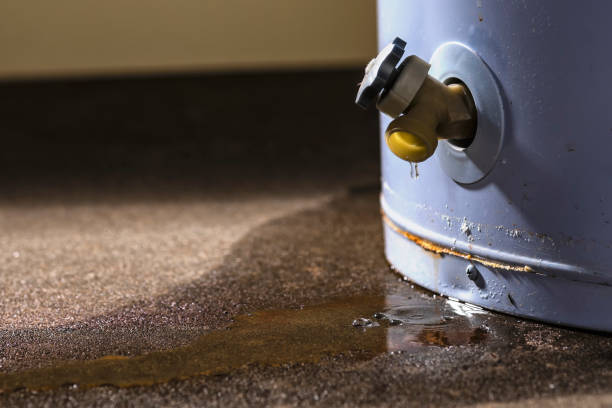 Best Sewage cleanup and water damage restoration  in Newcastle, WA