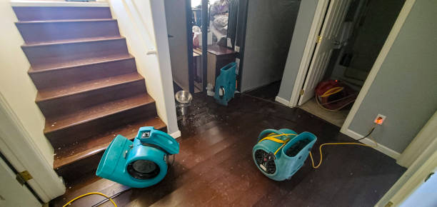Best Flooded house restoration  in Newcastle, WA