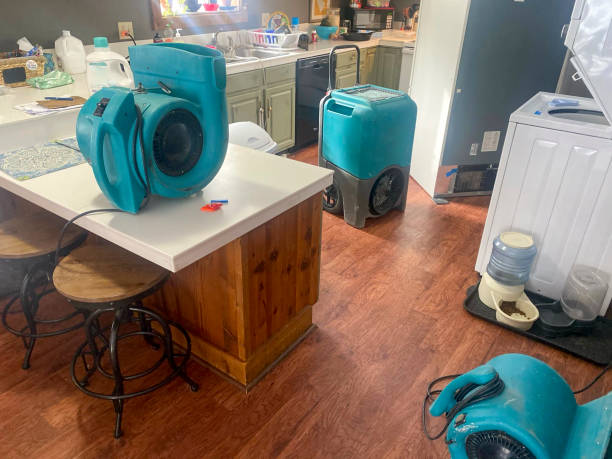 Best Water damage contractors near me  in Newcastle, WA