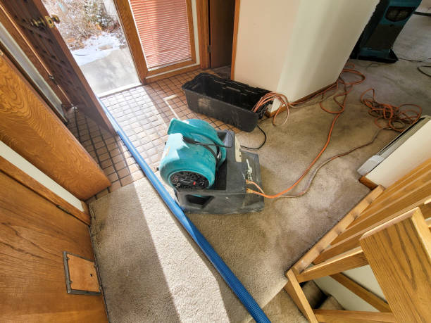 Best Commercial water damage restoration  in Newcastle, WA