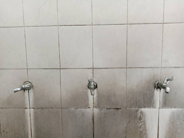 Best Water damage restoration experts  in Newcastle, WA